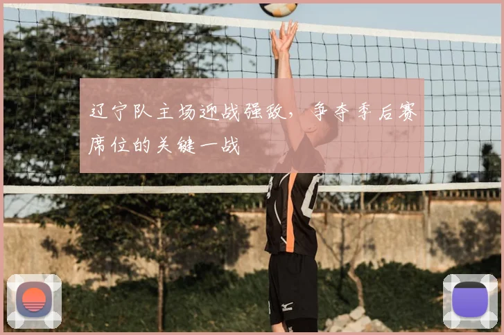 辽宁队主场迎战强敌，争夺季后赛席位的关键一战