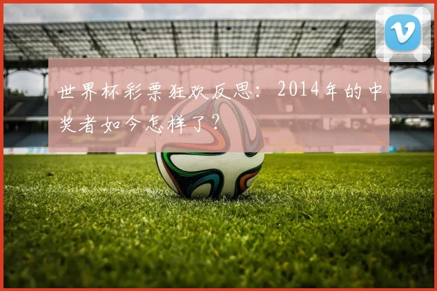 世界杯彩票狂欢反思：2014年的中奖者如今怎样了？