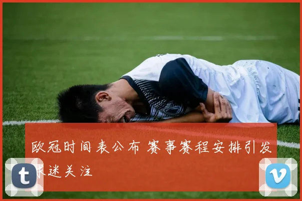 欧冠时间表公布 赛事赛程安排引发球迷关注