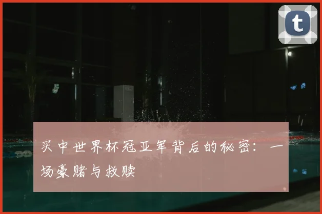 买中世界杯冠亚军背后的秘密：一场豪赌与救赎