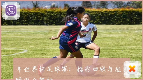 年世界杯足球赛：精彩回顾与经典瞬间全解析