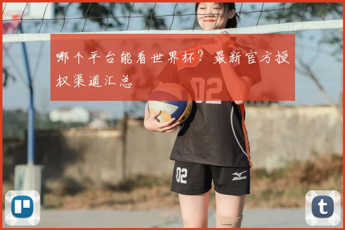 哪个平台能看世界杯？最新官方授权渠道汇总
