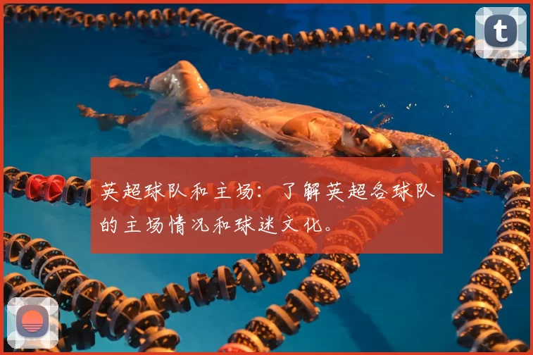 英超球队和主场：了解英超各球队的主场情况和球迷文化。