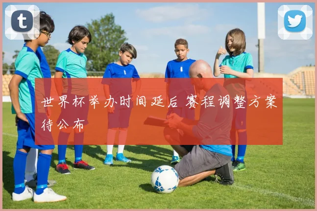 世界杯举办时间延后 赛程调整方案待公布