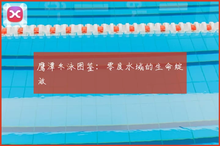鹰潭冬泳图鉴：零度水域的生命绽放