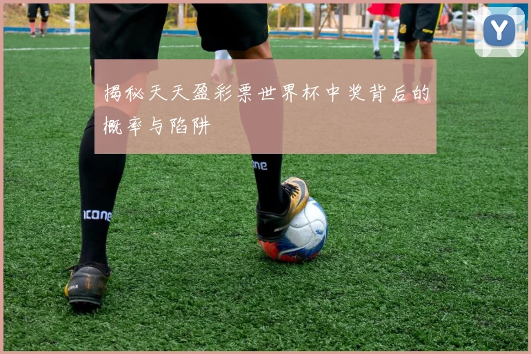 揭秘天天盈彩票世界杯中奖背后的概率与陷阱