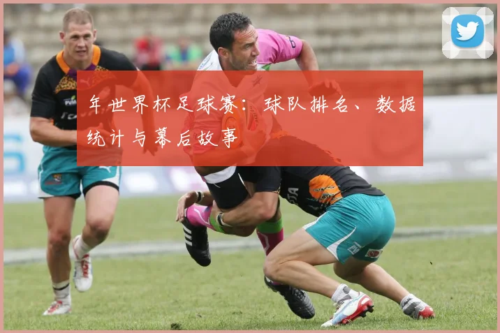 年世界杯足球赛：球队排名、数据统计与幕后故事