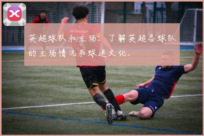 英超球队和主场：了解英超各球队的主场情况和球迷文化。