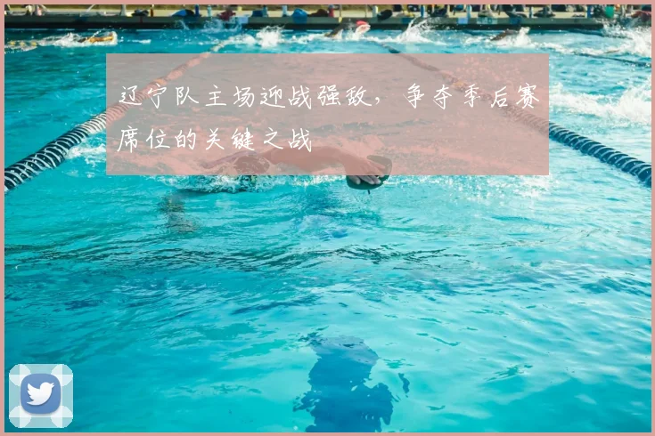 辽宁队主场迎战强敌，争夺季后赛席位的关键之战