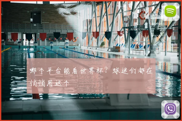 哪个平台能看世界杯？球迷们都在悄悄用这个