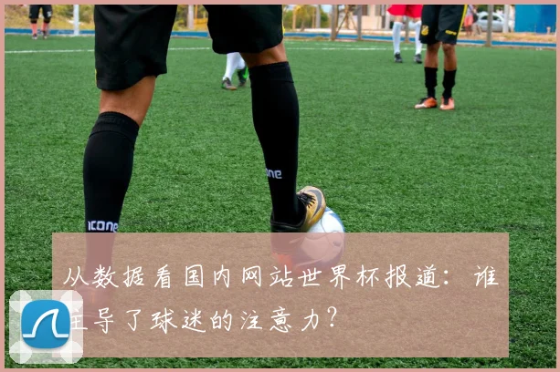从数据看国内网站世界杯报道:谁主导了球迷的注意力?