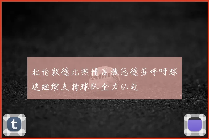 北伦敦德比热情高涨范德芬呼吁球迷继续支持球队全力以赴