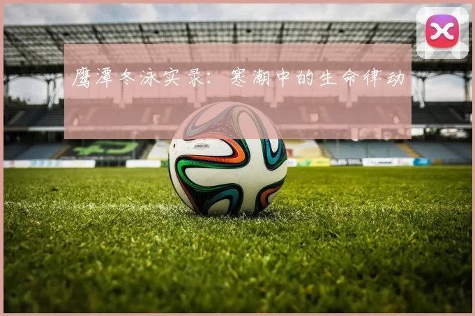 鹰潭冬泳实录：寒潮中的生命律动