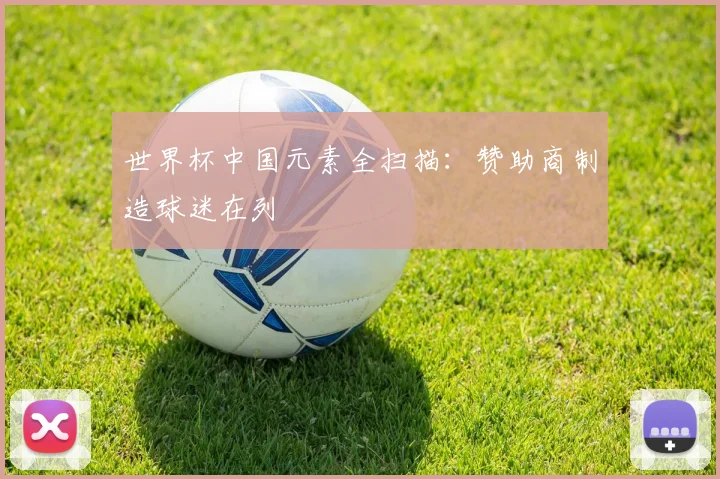 世界杯中国元素全扫描:赞助商制造球迷在列