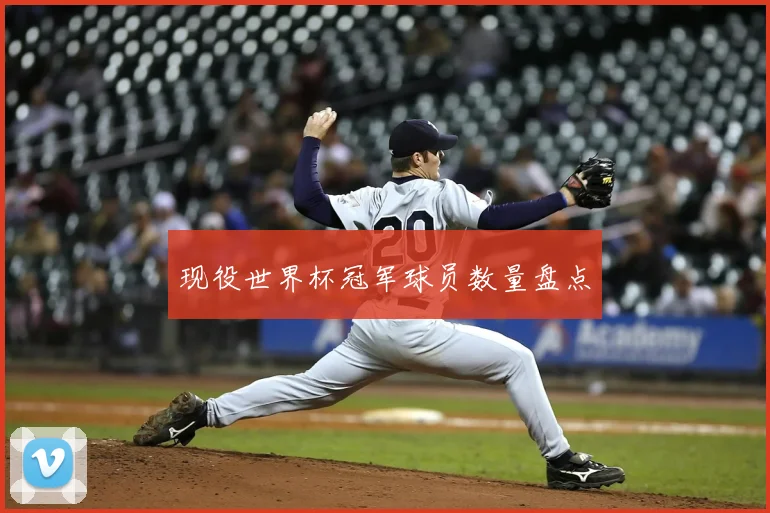现役世界杯冠军球员数量盘点