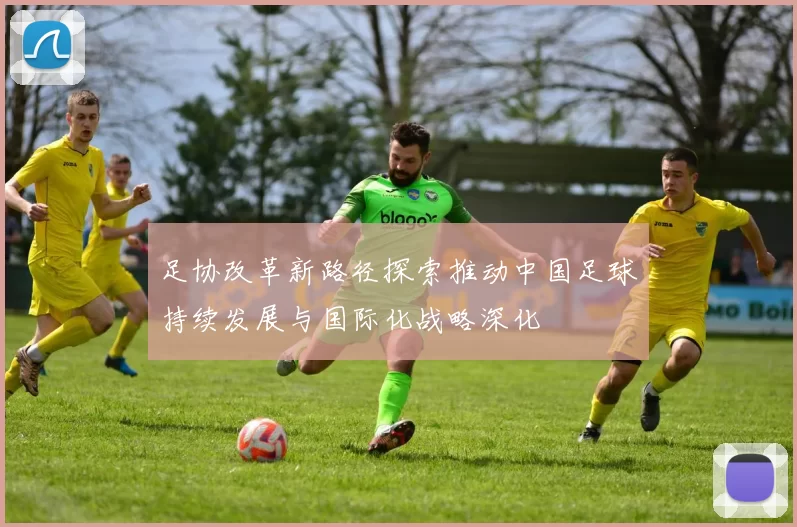 足协改革新路径探索推动中国足球持续发展与国际化战略深化